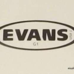 Evans G1 coated