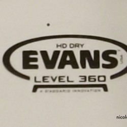 Evans Genera HD Dry