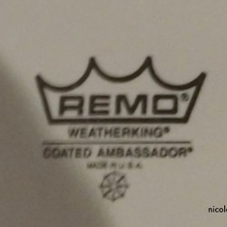 REMO Ambassador coated