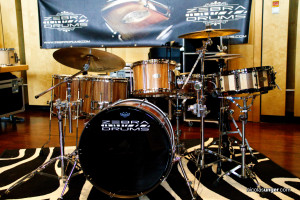 Zebra_Drums_12